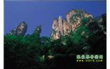 網(wǎng)絡熱門純玩游:張家界、天子山、袁家界、楊家界 自助三日游