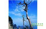 湘西之旅：張家界、天子山、寶峰湖/黃龍洞、鳳凰古城、猛洞河漂流、天門山六日游