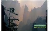 張家界國(guó)家森林公園、寶峰湖/黃龍洞、鳳凰古城、三峽八日游
