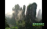 張家界---阿凡達-潘多拉神奇之旅